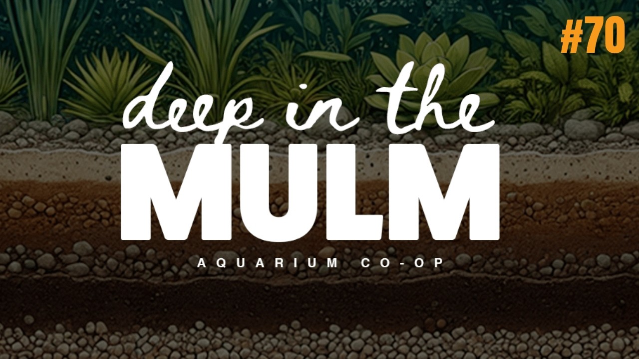 Deep In The Mulm Podcast Ep. 70