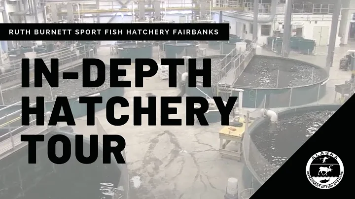 Ruth Burnett Sport Fish Hatchery in Fairbanks