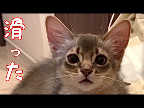 僕…滑って転んじゃったよ❣️【ソマリ】