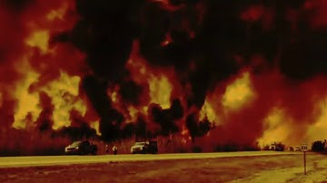 Elements of Joy - PI08.1 [PE08]