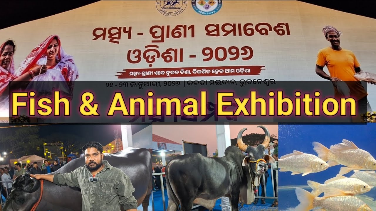 Maschya Prani Samavesa Odisha 2026 | ମତ୍ସ୍ୟ ପ୍ରାଣୀ ସମାବେଶ ଓଡ଼ିଶା 2026