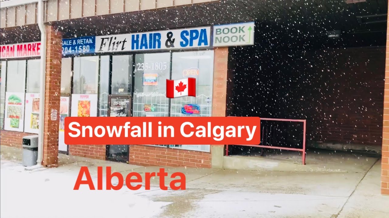 Snowfall in Calgary, Alberta, Canada 🇨🇦 February 24, 2022 | Calgary life after the snowstorm