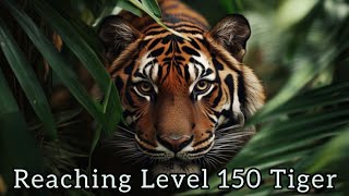 Reaching Level 150 Tiger | WildCraft screenshot 2