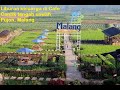 Liburan keluarga di Cafe sawah malang