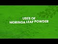 Moringa Powder Benefits | The Superfood for Immunity, Skin, Hair &amp; Energy