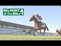 Talking Horses - June 13, 2026