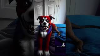 Pitbull Dogtiktok Joker Filter