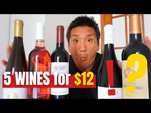 فيديو: Alentejo النبيذ والنبيذ نصائح