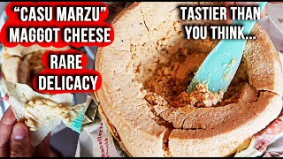 Eating The World's Most Dangerous Cheese: Casu Marzu (Rare, Tasty & w/ Maggots) | Sardinian Delicacy