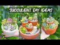 30 Succulent DIY ideas| 30 Ý tưởng trang trí sen đá tuyệt đẹp |多肉植物| 다육이들 | Suculentas