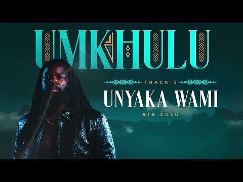 Big Zulu - Unyaka Wami (Official Audio)