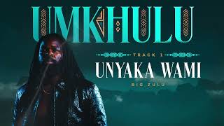 Big Zulu  Unyaka Wami  