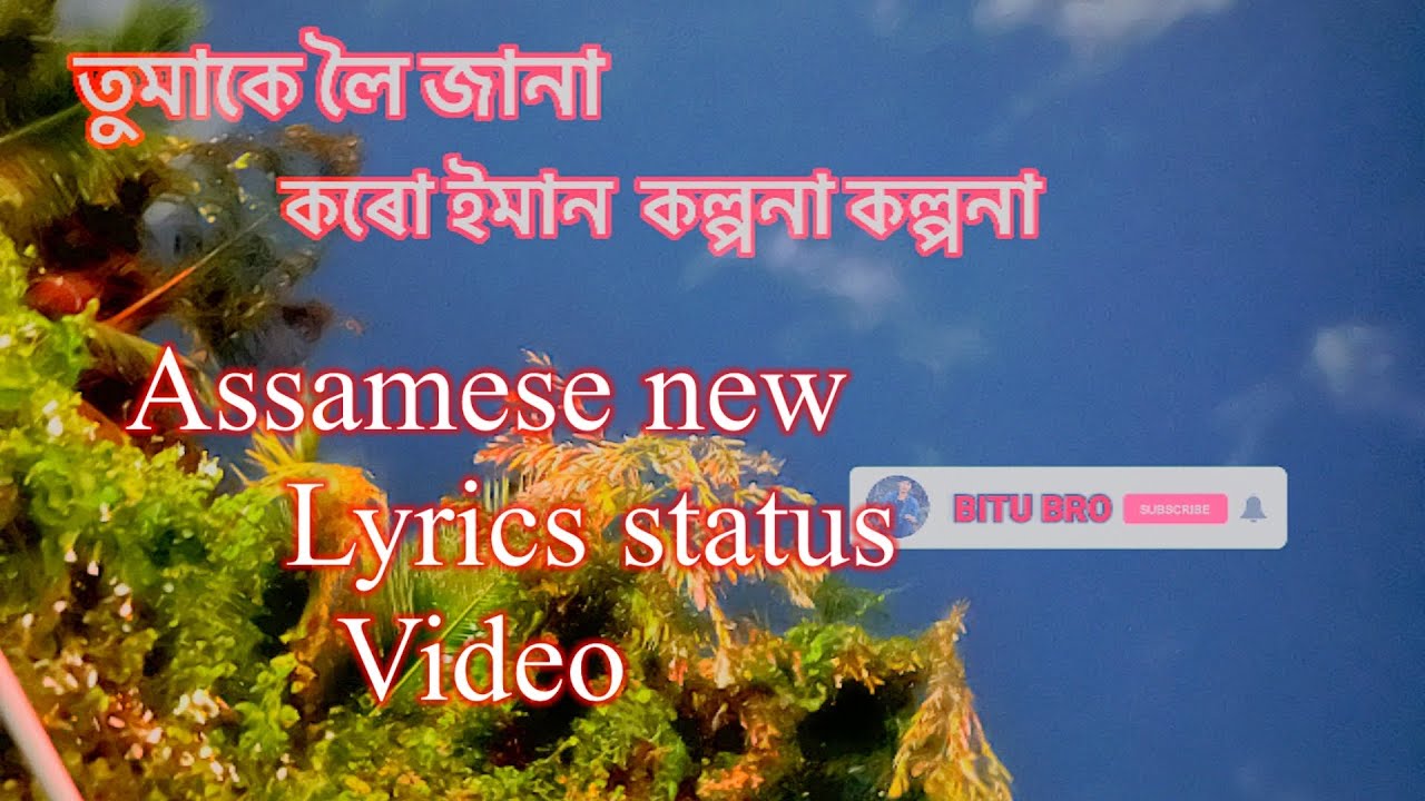 assamese whatsapp status video/whatsapp status video /assamese new