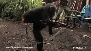 ape with AK-47  обезьяна стреляет из автомата