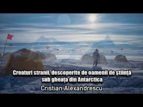 Video: Există Creaturi Inteligente Necunoscute științei în Gheața Antarcticii! - Vedere Alternativă