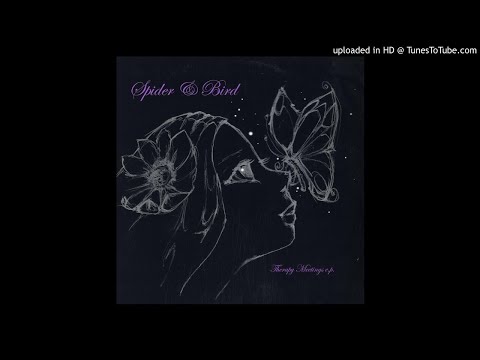 Spider & Bird — Spider & Bird - Hater (original mix)