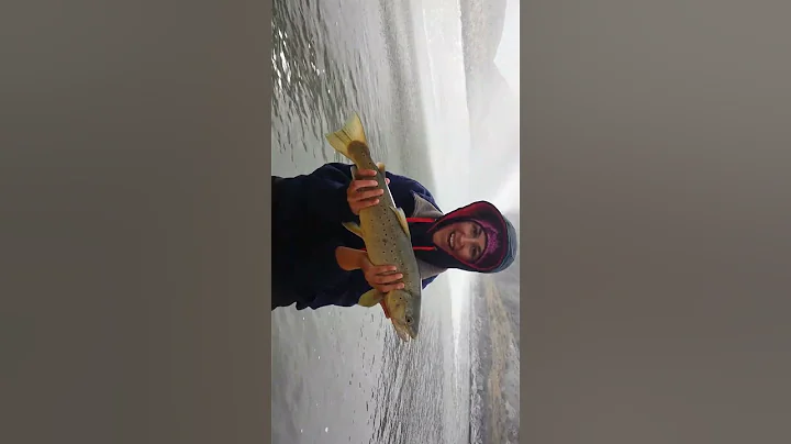 Cheryl's 2nd huge fish