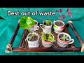 How to grow plants in old cups /coffee mugs || What to do and What not to do ?