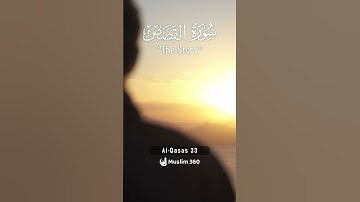 Surah Al-Qasas 33 | Hindi - Urdu Audio translation | سورة القصص #alqasas #hindi #urdu