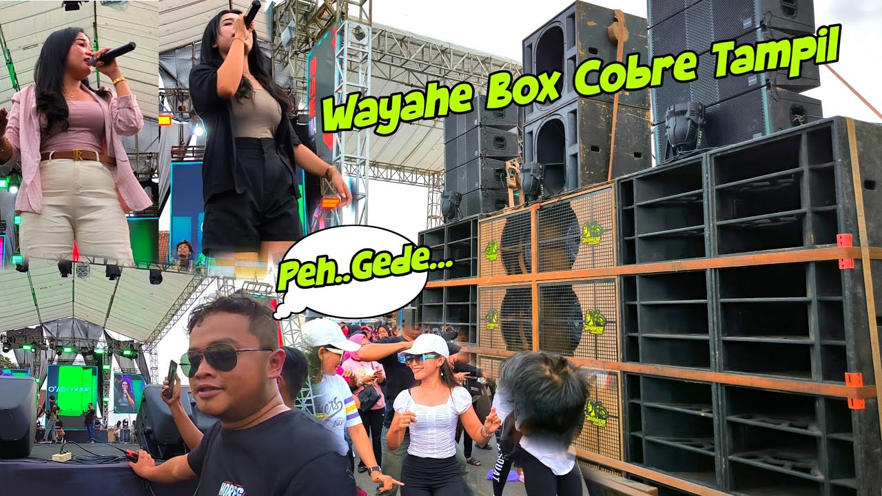 Wayahe box battle tampil 🔥Memed sampai nelan ludah.. BREWOG AEROMAX Tulungagung full Nyeni