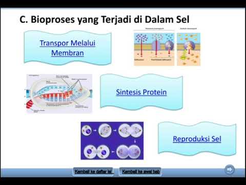 Video: Perbedaan Antara Endosmosis Dan Eksosmosis