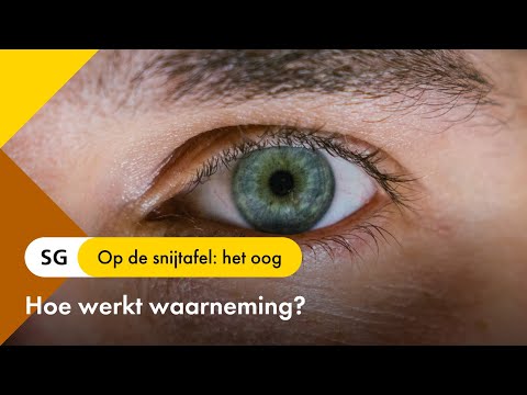 Video: Het is ongelooflijk hoe de kleuren van golfkarton de visuele waarneming kunnen veranderen