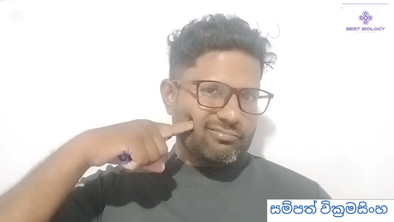 මානව ලක්ෂණ ප්‍රවේණි ගතවන මෙන්ඩලීය රටා උසස් පෙළ ජීව විද්‍යාව AL BIOLOGY 