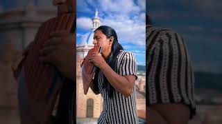 Historia de un Amor | Panflute | Music | by Raimy Salazar (Vertical Video)