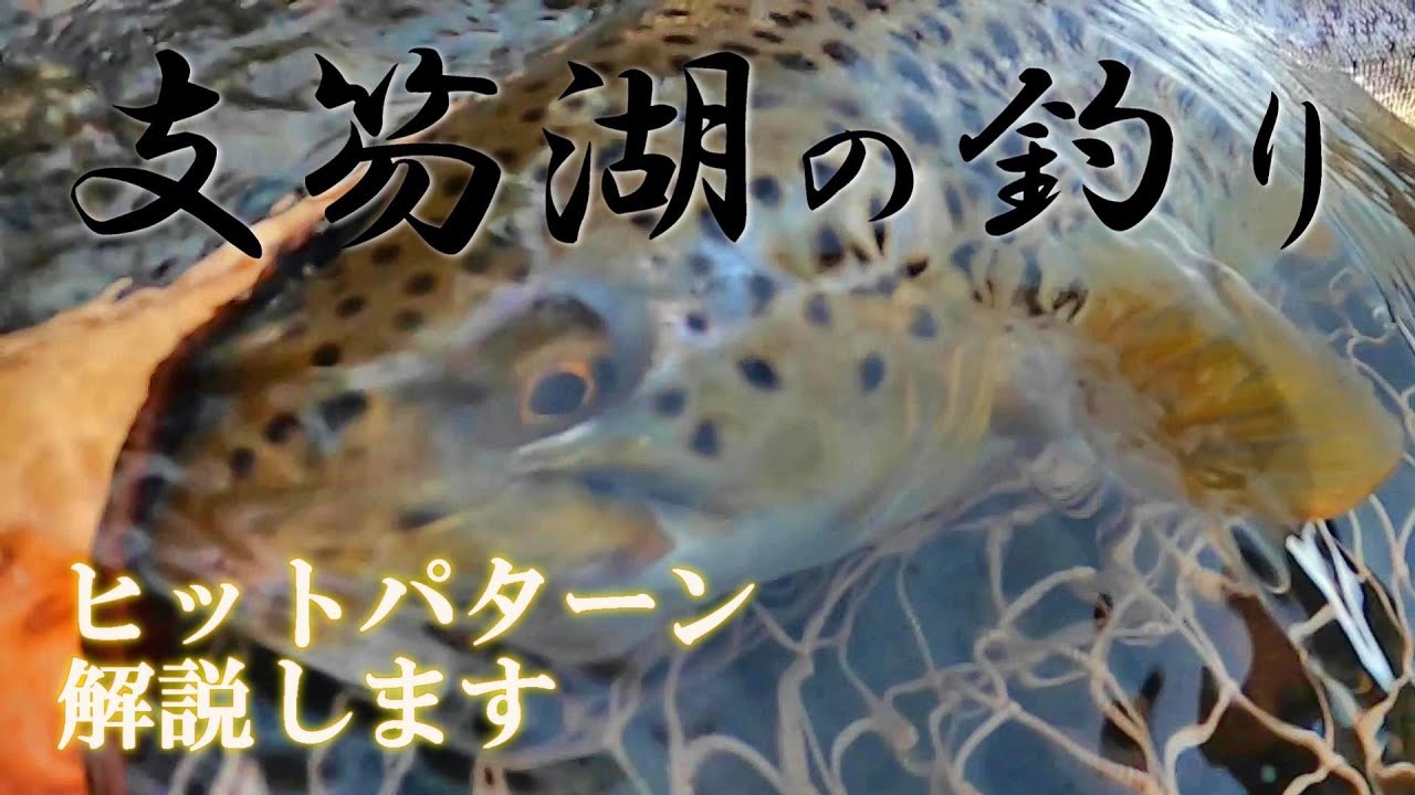 【支笏湖ブラウン】べた凪の時はボトムを攻める