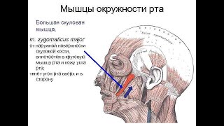 Красивые губы без инъекций.