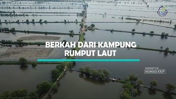 [CERITA PESISIR] Berkah dari Kampung Rumput Laut