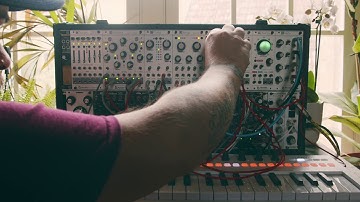 Windowbox modular: Featuring mutable instruments and Roland