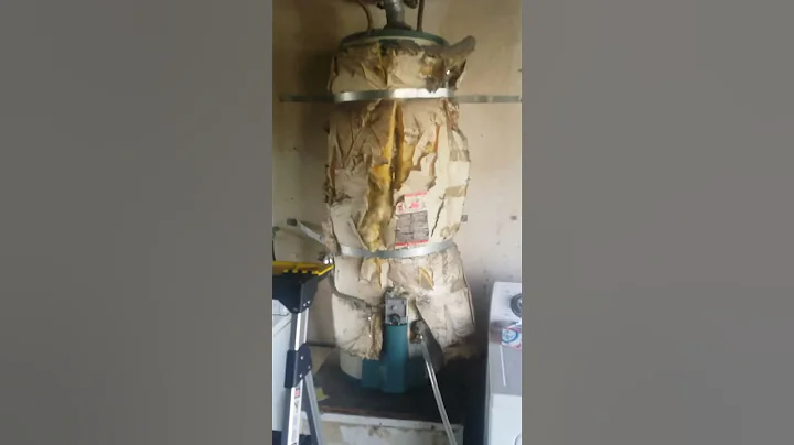 Ryobi fluid transfer pump