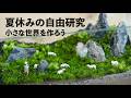 【夏休みの自由研究応援】草原の苔テラリウムの作り方No.234