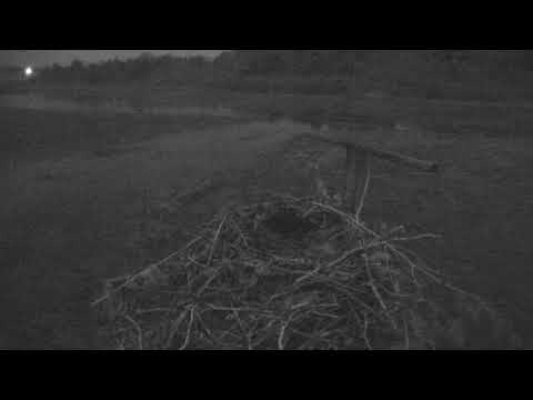 camera iphone 8 plus apk Cape Cod Museum of Natural History Live Stream