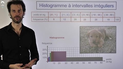 Histogramme à intervalles irréguliers