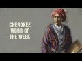 Cherokee word of the week bear