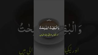 Surah Al-Kahf |Source of Spiritual guidance#quran#ashabekahaf