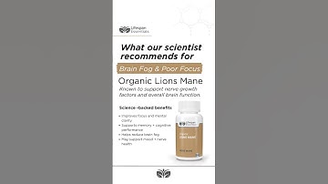 Scientists call it ‘nutrition for your neurons.’ Let me show you why Lion’s Mane is blowing up