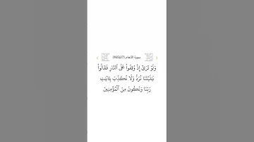 سورة الأنعام ٢٧