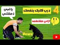 تدريب الكلب علي امر down او تحت بكل سهوله مع كابتن شريف شحاته