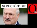 Лукашенко в СИЗО! Выбрал камеру для себя?