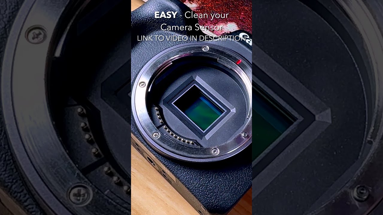 Cleaning Your Camera Sensor Is So EASY You Can Do It 