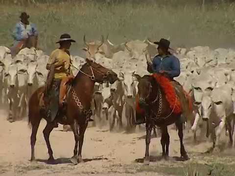 Mato Grosso do Sul comemora 40 anos de emancipação