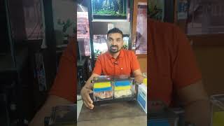 Multi section Filter VS Drip box Multilevel Filter System| A4 Aquarium| #reels #a4aquarium #fish