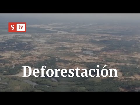 Alerta hay en la autoridades por la alta deforestación a causa de la minería ilegal
