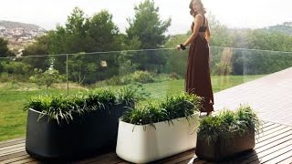 10 Modern Indoor Plant Pots that will Dress Up a Home Great accessories that are often overlooked are modern indoor plant pots. They are popular since they are dressier than their plain
