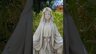 April 23, 2026😇🙏💗👼🕊 #blessedvirginmary #immaculateheartofmary #catholic #faith #hope #inspiration