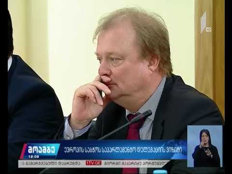 ევროპის საბჭოს საპარლამენტო დელეგაციის ვიზიტი