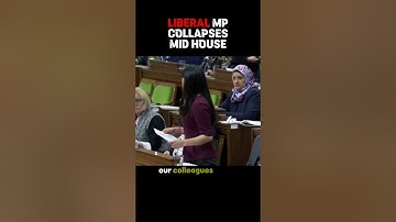 #liberal #mp collapses in the #houseofcommons